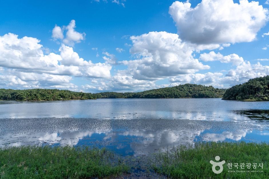사진: 한국관광공사(공공누리 제1유형) 군산호수 둘레길 모습 5