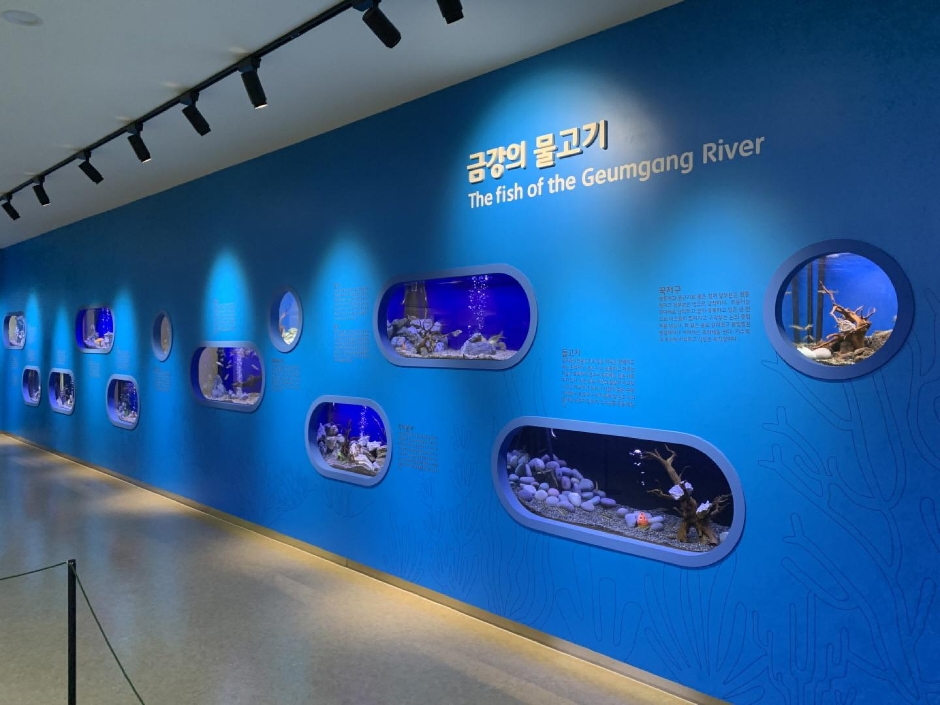 금강미래체험관 모습