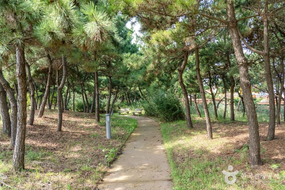 새만금 비응공원 모습 3
