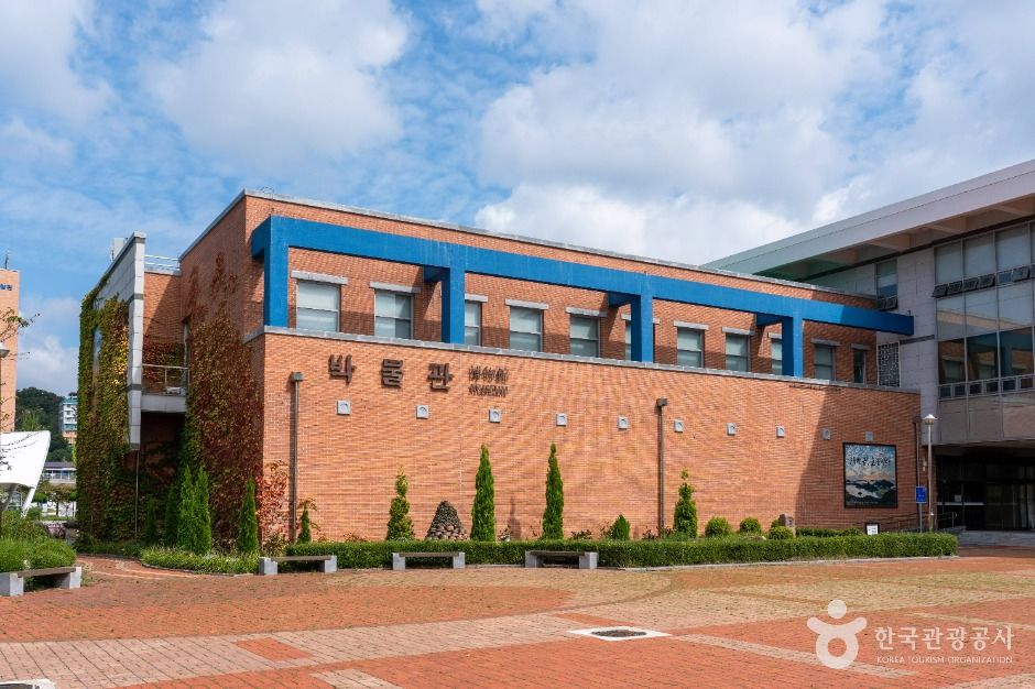 국립군산대학교 박물관 모습