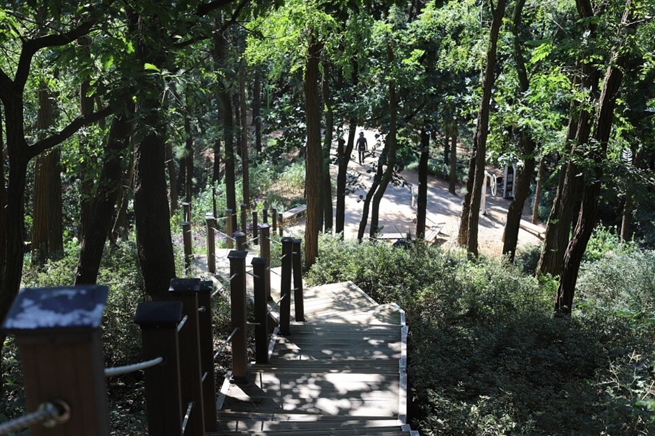 [군산 구불길] 구불3길 큰들길 모습 2