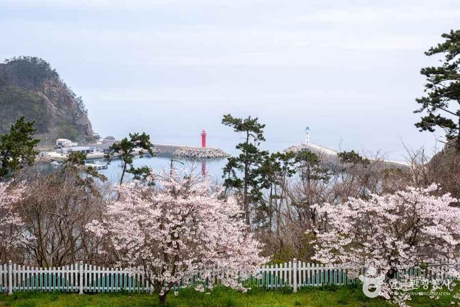 고군산섬잇길 외관 2