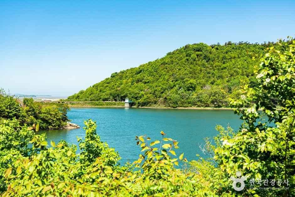 월명공원 모습