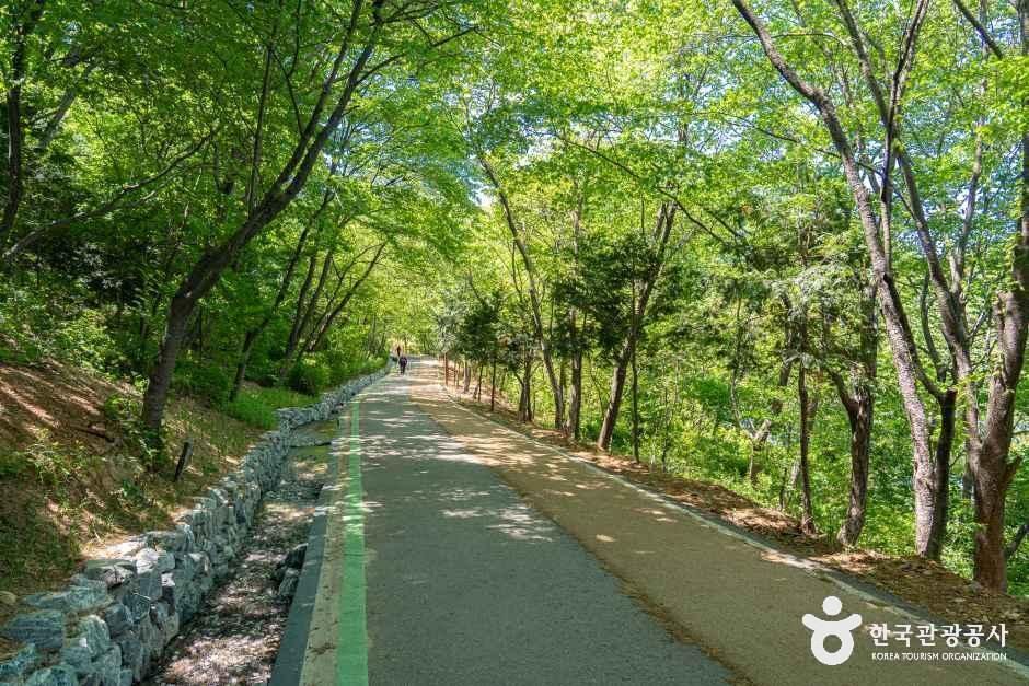 사진: 한국관광공사(공공누리 제1유형) 월명공원 모습 5