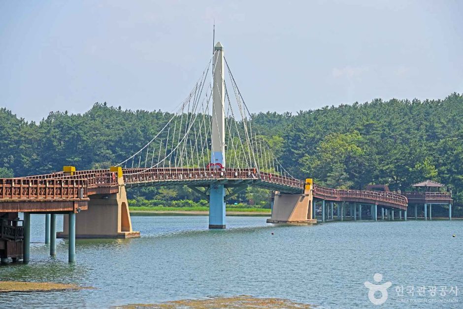 사진: 한국관광공사(공공누리 제3유형) 은파 물빛다리 모습 2